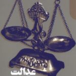خرید کتاب عدالت اقتصادی و حقوق طبیعی اثر گری چارتیه نشر دنیای اقتصاد