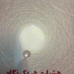 خرید کتاب هشیاری در یک نگاه اثر الن لنگر نشر بهجت