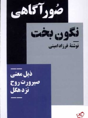 خرید کتاب صور آگاهی نگون بخت نوشته فرزاد امینی نشر نیماژ