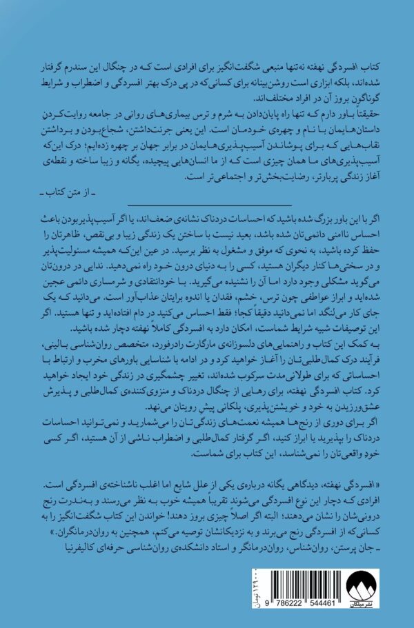 خرید کتاب افسردگی نهفته اثر مارگارت رابینسون رادرفورد نشر میلکان - تصویر 2
