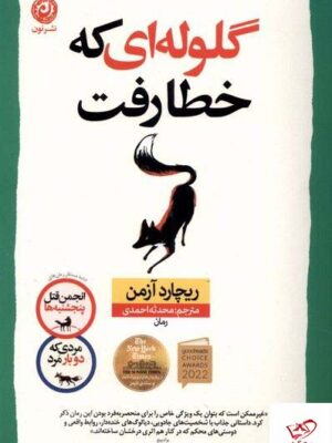 خرید کتاب گلوله ای که خطا رفت اثر ریچارد آزمن نشر نون