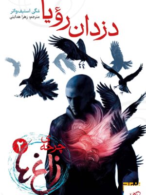 خرید کتاب چرخه ی زاغ ها 2 دزدان رویا از نشر هوپا و برج