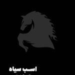 خرید کتاب اسب سیاه رسیدن به موفقیت و کامیابی از نشر مون