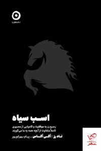 خرید کتاب اسب سیاه رسیدن به موفقیت و کامیابی از نشر مون