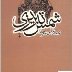 خرید کتاب شمس تبریزی اثر محمدعلی موحد از نشر نو