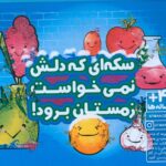 خرید کتاب سکه ای که دلش نمیخواست زمستان برود هفت سین جعبه