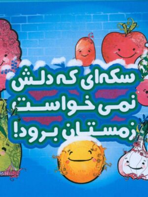 خرید کتاب سکه ای که دلش نمیخواست زمستان برود هفت سین جعبه