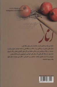 خرید کتاب رمان انار اثر الناز پاکپور نشر علی - تصویر 2