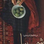 خرید کتاب رمان شهر زیبا اثر دریا دلنواز دوره ۲ جلدی نشر علی