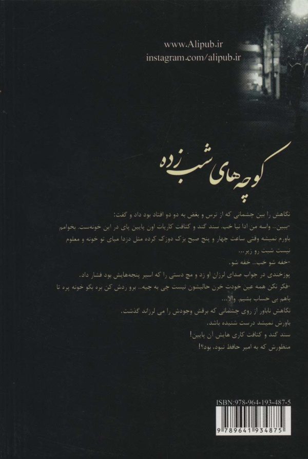 خرید کتاب رمان کوچه های شب زده اثر مریم سلطانی نشر علی - تصویر 2