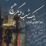 خرید کتاب رمان یک شب و دیگر هیچ اثر زهرا دلگرمی نشر آرینا