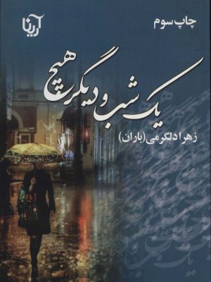 خرید کتاب رمان یک شب و دیگر هیچ اثر زهرا دلگرمی نشر آرینا