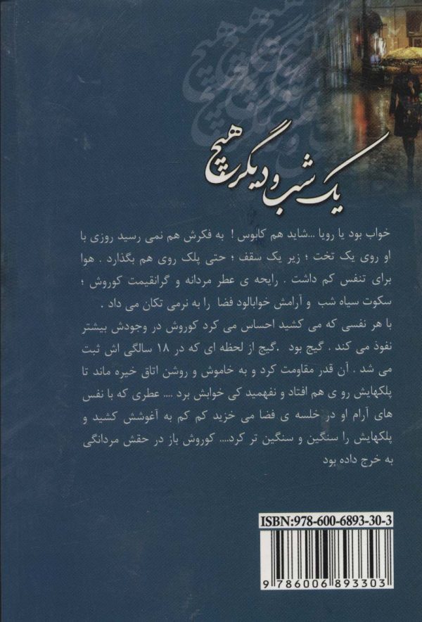 خرید کتاب رمان یک شب و دیگر هیچ اثر زهرا دلگرمی نشر آرینا - تصویر 2
