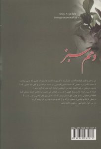 خرید کتاب رمان وهم سبز اثر طوبی خوه (مارال) نشر علی - تصویر 2