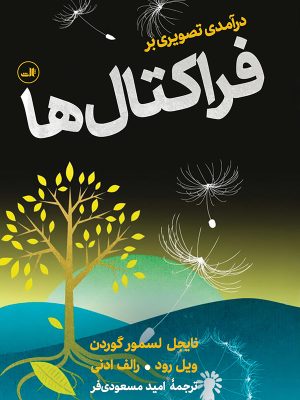 خرید کتاب درآمدی تصویری بر فراکتال ها ترجمه امید مسعودی فر نشر ثالث