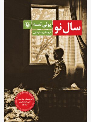 خرید کتاب سالی نو اثر یولی تسه ترجمه پریسا رضایی نشر مروارید