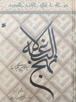 خرید کتاب نهج البلاغه امیرالمومنین اثر اسماعیل منصوری لاریجانی