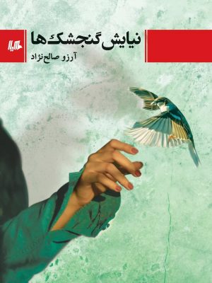 خرید کتاب نیایش گنجشک ها اثر آرزو صالح نژاد نشر هیلا