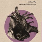 خرید کتاب خرید کتاب بوطیقای نو (تئاتر تماشا و نگاه برانگیخته از منظر اروپایی) جلد دوم