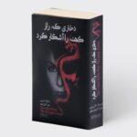 خرید کتاب دختری که راز کهنه آشکار کرد اثر استیگ لارسون نشر میردشتی