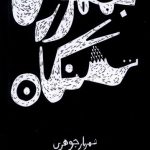 خرید کتاب جمهوری تشنگان اثر شهریار جوهری نشر تیسا