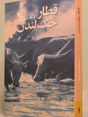 خرید کتاب قطار جک لندن اثر فرهاد حسن زاده نشر افق