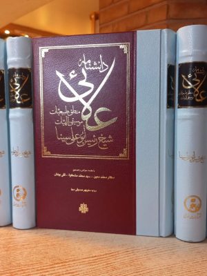 خرید کتاب دانشنامه علائی اثر شیخ الرئیس ابو علی سینا نشر مولی