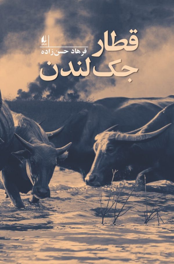 خرید کتاب قطار جک لندن اثر فرهاد حسن زاده نشر افق - تصویر 2