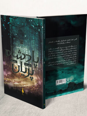 خرید کتاب خواهران گمشده جلد 1/5 پادشاه پریان اثر هالی بلک نشر باژ