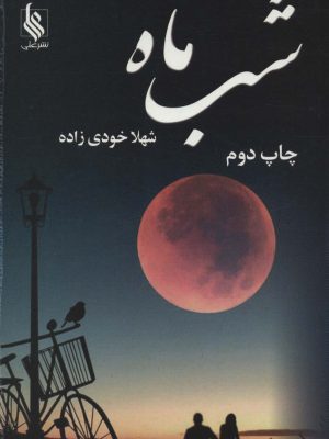 خرید کتاب رمان شب ماه اثر شهلا خودی زاده نشر علی
