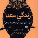 خرید کتاب زندگی معنا (بررسی عمیق ترین پرسش ها) اثر جیمز هالیس
