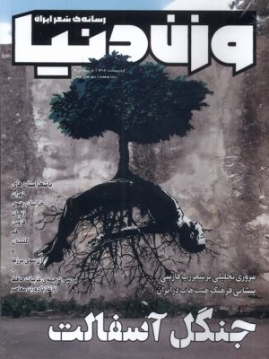 خرید مجله وزن دنیا شماره 26 جنگل آسفالت