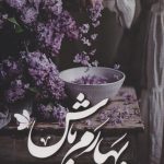 خرید کتاب رمان بهارم باش اثر سلاله امری نشر شادان