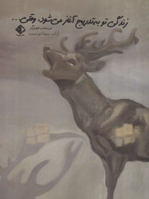 خرید کتاب زندگی تو به تدریج آغاز می شود وقتی ... اثر آزاده سجادی نسب