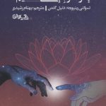 خرید کتاب چرا مراقبه می کنیم اثر دنیل گلمن نشر سیوان