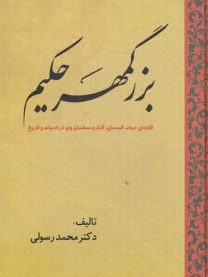 خرید کتاب بزرگمهر حکیم اثر محمد رسولی نشر سبزان