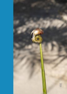 خرید کتاب این سفره سیال است مثل دریا اثر یاسمین احسانی نشر مانوش - تصویر 4