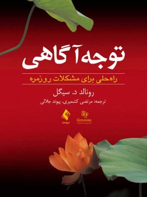 خرید کتاب توجه آگاهی (راه حلی برای مشکلات روزمره) اثر رونالد سیگل