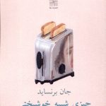 خرید کتاب چیزی شبیه خوشبختی اثر جان برنساید نشر نیلا