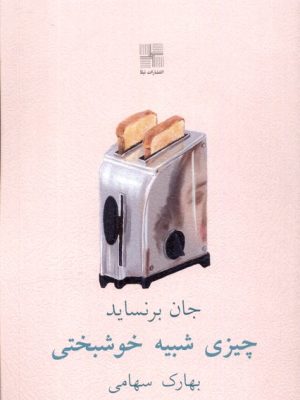 خرید کتاب چیزی شبیه خوشبختی اثر جان برنساید نشر نیلا