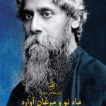 خرید کتاب ماه نو و مرغان آواره اثر رابیندرانات تاگور نشر ثالث