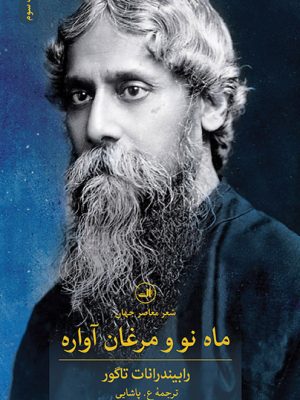 خرید کتاب ماه نو و مرغان آواره اثر رابیندرانات تاگور نشر ثالث