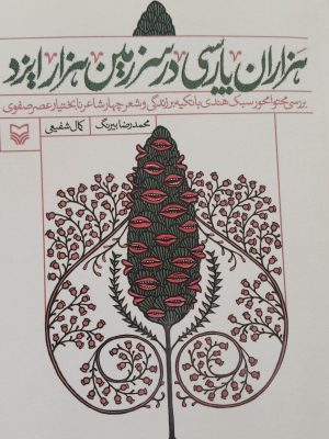 خرید کتاب هزاران پارسی در سرزمین هزار ایزد اثر محمدرضا بیرنگ نشر سوره مهر