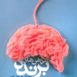خرید کتاب ذهن های برنده (رازهایی از زبان رهبر) اثر سایمون لنکستر نشر سروش