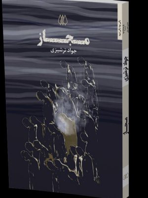 خرید کتاب مجاز (مجموعه داستان کوتاه) اثر جواد ترشیزی نشر اریش