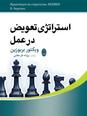 خرید کتاب استراتژی تعویض در عمل اثر ویکتور بریوزین نشر شباهنگ