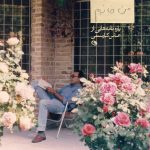 خرید کتاب من خانه م (پاره نامه هایی از عباس کیارستمی) اثر بهمن کیارستمی