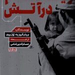 خرید کتاب ویتنام در آتش اثر بریان کروزیه و ژول روی نشر نوراشراق