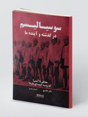 خرید کتاب سوسیالیسم در گذشته و آینده ما اثر ایگور شافارویچ نشر میردشتی
