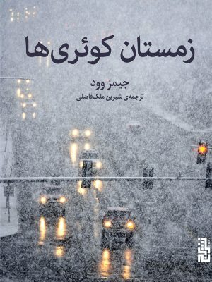 خرید کتاب زمستان کوئری ها اثر جیمز وود نشر برج